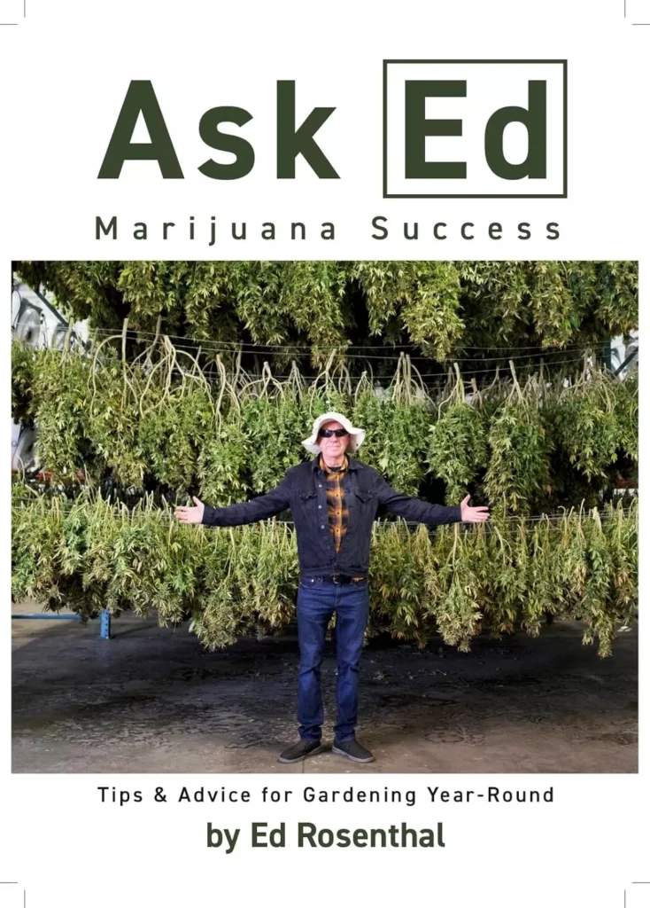 ask-ed-marijuana-success-ed-rosenthal