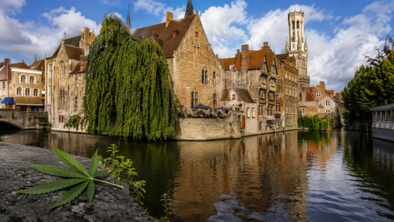 Is Marijuana Legal in Belgium? Cannabis Laws for Tourists
